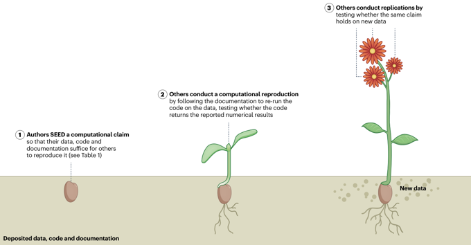 Growing credibility from data, code and documentation: a seed (deposited data, code and documentation), a sprout (computational reproduction), and a flowering plant (replication on new data)